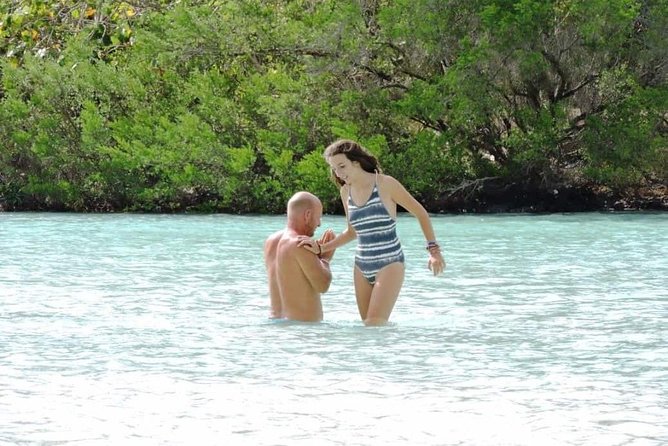Marvelous Ile aux Cerf island: Speed Boat, Parasailing, Lunch & GRSE waterfall - What the $138.60 price includes in practical terms