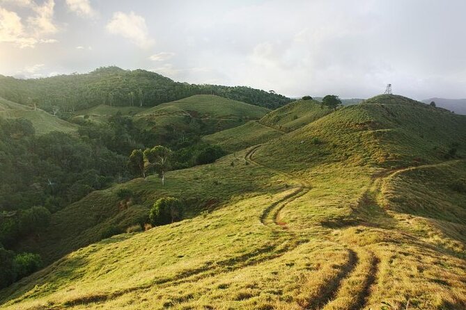 Mauritius: 2 Hours Buggy Ride - Bel Ombre Nature Reserve - Starting at Bel Ombre Nature Reserve