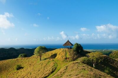 2 Hours Buggy Ride – Bel Ombre Nature Reserve