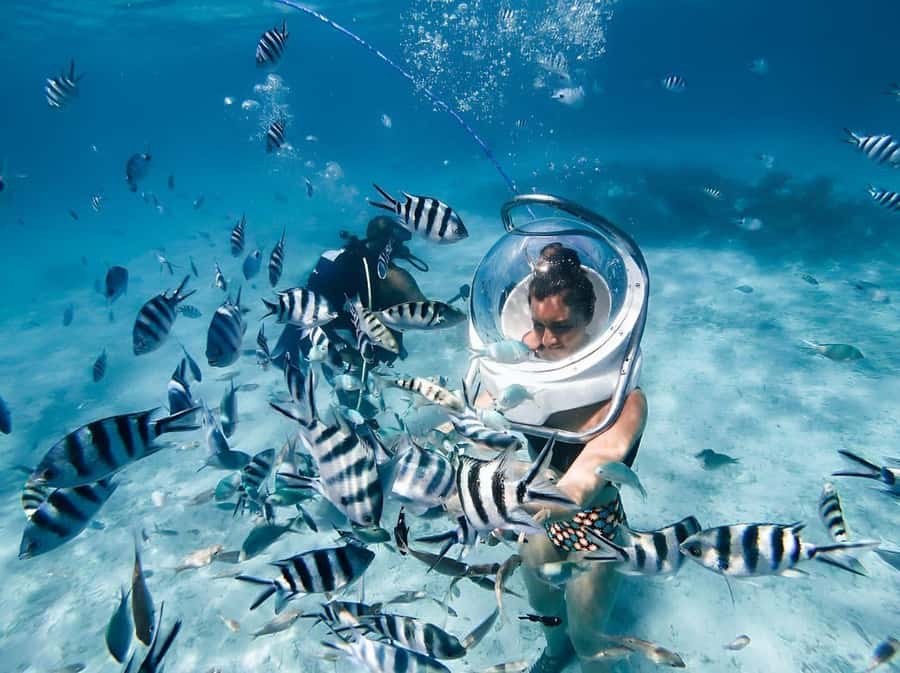 Mauritius: 3 Activities + Ile aux Cerfs Boat tour w/ BBQ - Key things to know before booking