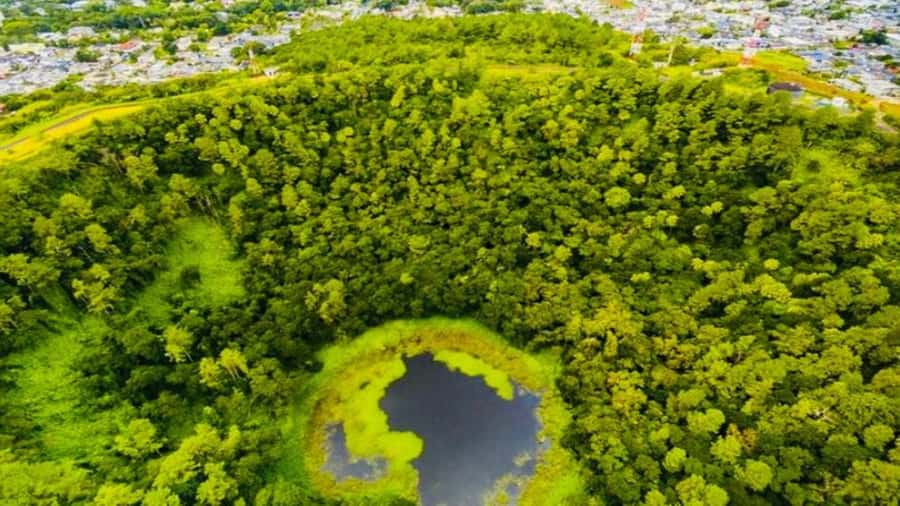 Mauritius: 3 Days Private Authentic Tour with hidden gems - The guide can make or break the experience