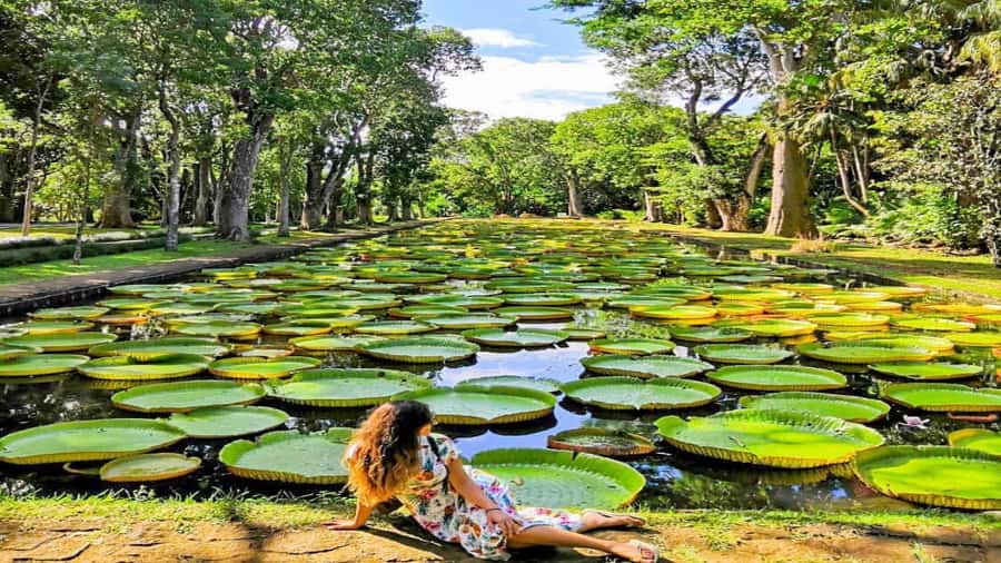 Mauritius: 3 Days Private Authentic Tour with hidden gems - Transport, timing, and comfort on the road