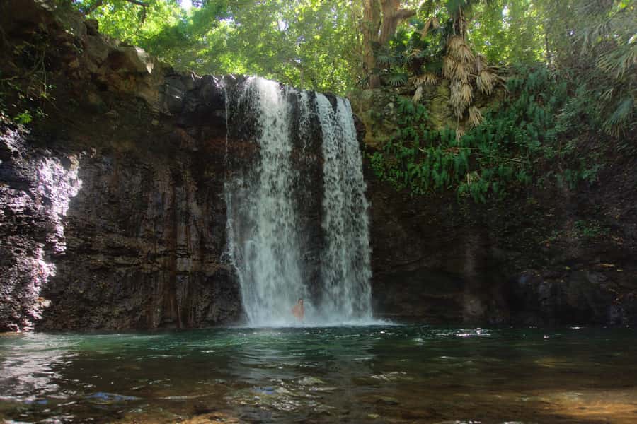 Mauritius: 3-Hour Hiking the Wild South Excursion - Key points to know before you book