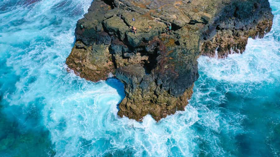Mauritius: 3-Hour Hiking the Wild South Excursion - Forest trails before the coast