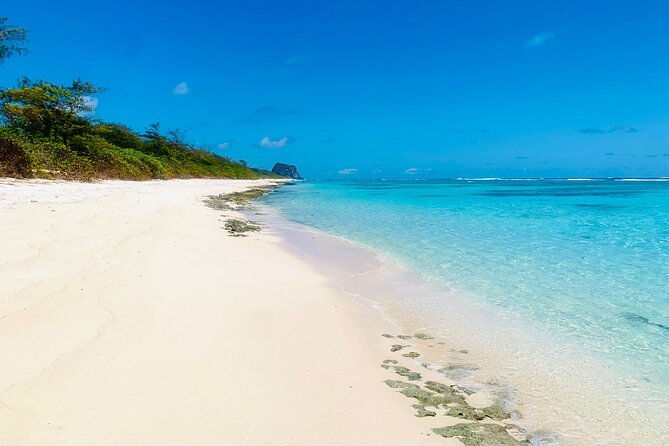 Mauritius 5-Day Private Excursion and Cruise - Day 2: Port Louis markets, forts, and northern gardens