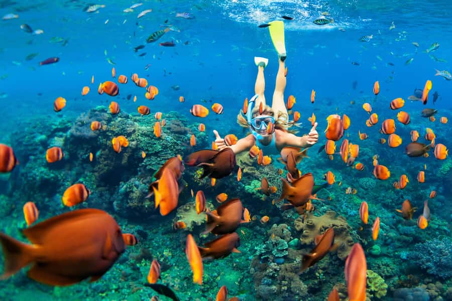 Mauritius: 5 East Coast Islands Tour with Snorkeling & Lunch - Grand River South East waterfall by boat