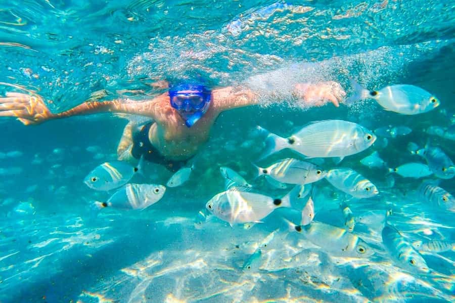 Mauritius: 5 East Coast Islands Tour with Snorkeling & Lunch - Ile aux Phares and the story of 1810