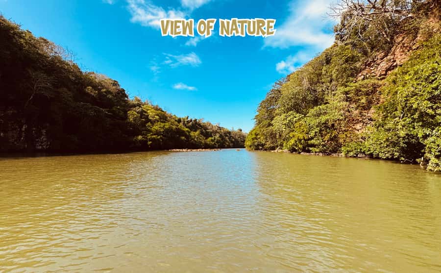 Mauritius: 5 Islands of the East Speedboat Tour with BBQ - How much value do you get for $88?