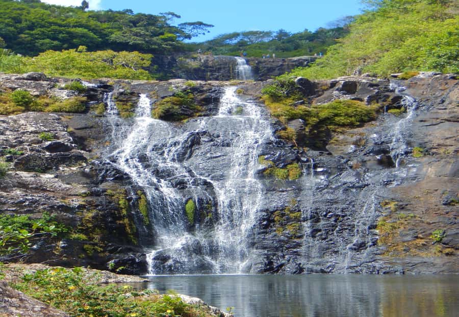 Mauritius: 7 Waterfalls Hike with Lunch and Hotel Transfers - Plants, birds, and the natural side of the island