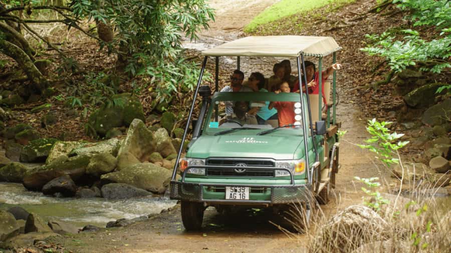 Mauritius: Bel Ombre Nature Reserve 4x4 Safari Adventure - Key points at a glance