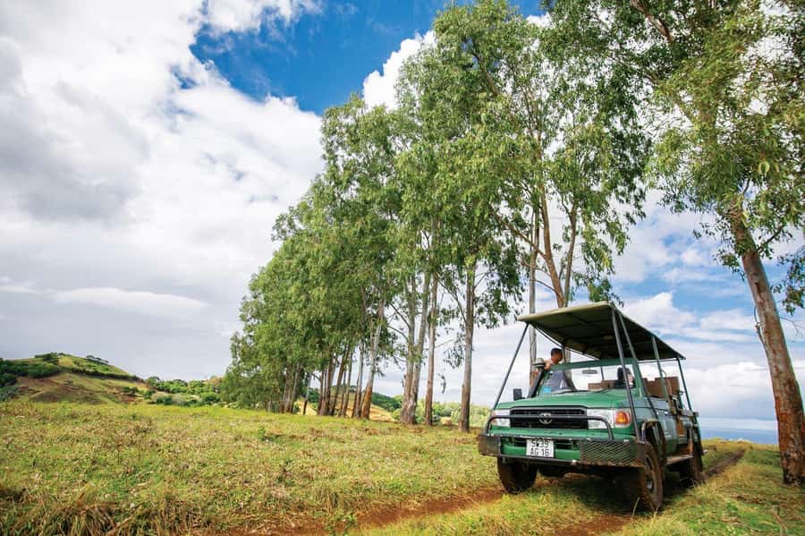 Mauritius: Bel Ombre Nature Reserve 4x4 Safari Adventure - Why Bel Ombre feels different from beachside Mauritius