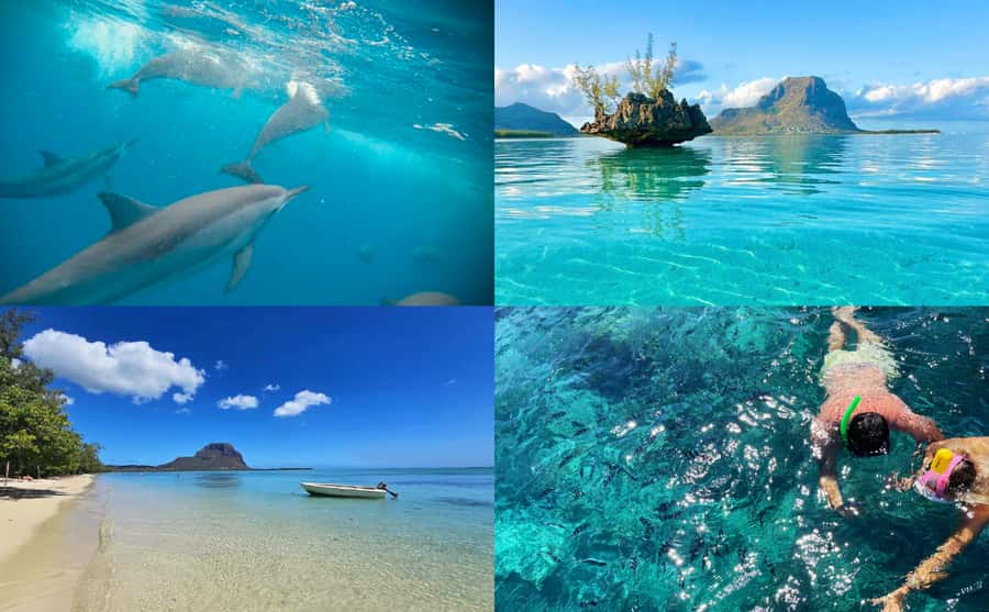 Mauritius: Benitier Island - Swim Dolphins - Speedboat & BBQ - Key points to know before booking
