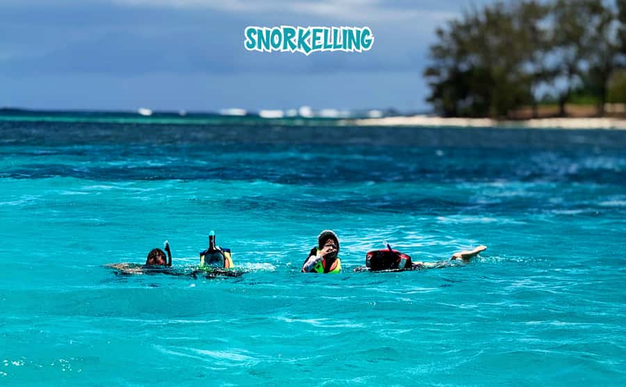 Mauritius: Benitier Island - Swim Dolphins - Speedboat & BBQ - Speedboat comfort, group size, and communication