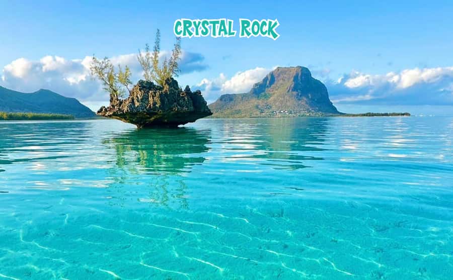 Mauritius: Benitier Island - Swim Dolphins - Speedboat & BBQ - What to pack for the boat and island