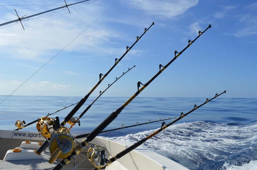 Mauritius: Big Game Fishing Trip from Grand Baie - The return to Sunset Boulevard