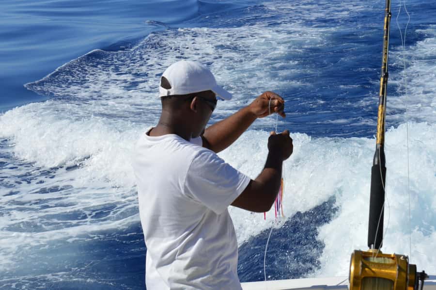 Mauritius: Big Game Fishing Trip from Grand Baie - Who should book this fishing trip?
