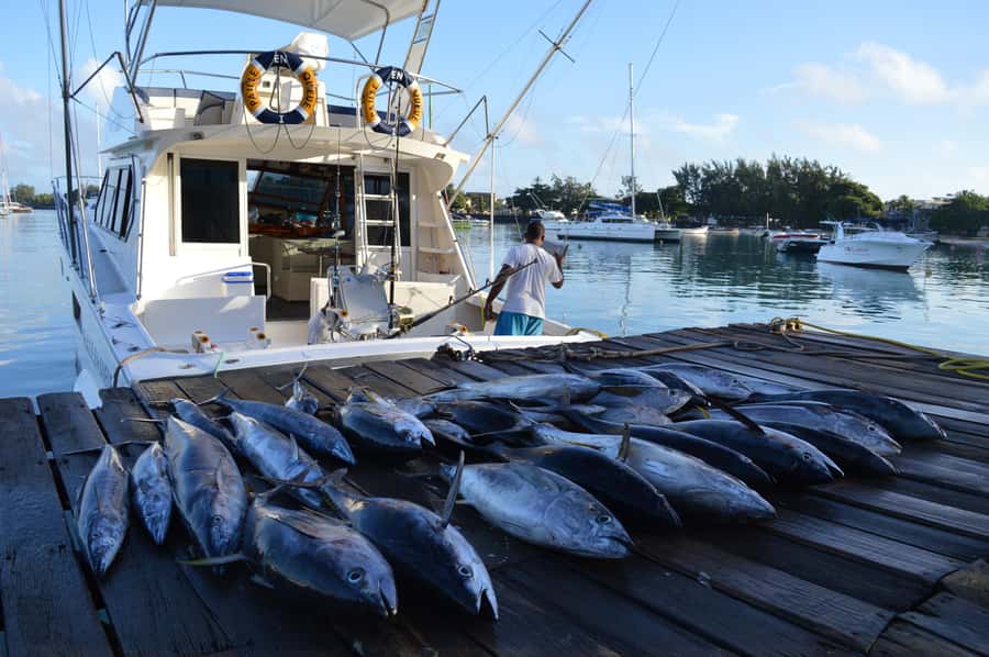 Mauritius: Big Game Fishing Trip from Grand Baie - What the 50-foot Paille en Queue boats offer
