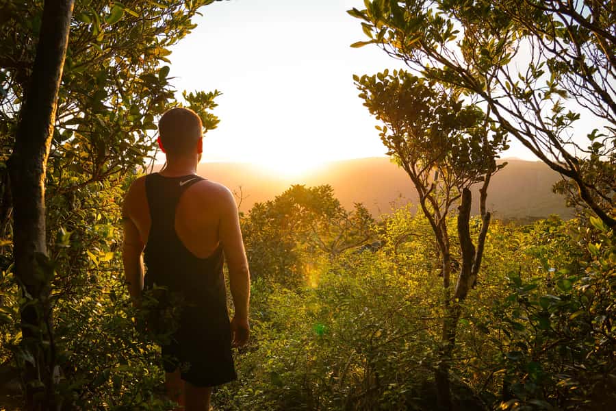 Mauritius: Black River Gorges Guided Hike - Key points to know before you book