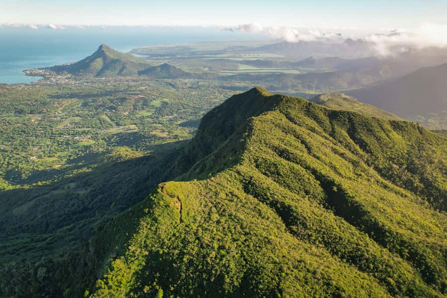 Mauritius: Black River Gorges Guided Hike - Entering Mauritius’s upper Black River Gorges