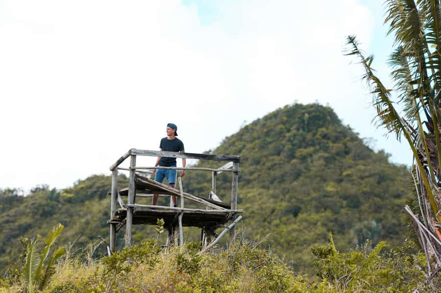 Mauritius: Black River Gorges Guided Hike - Is $75 per person good value?