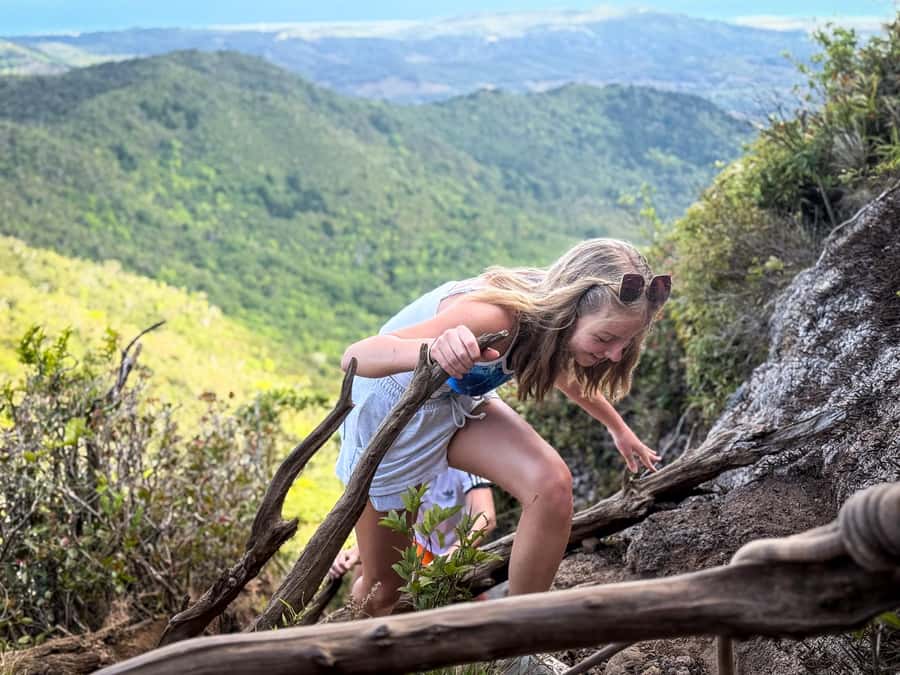 Mauritius: Black River Gorges Guided Hike - Who should book this hike?