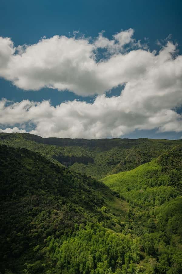 Mauritius: Black River Gorges National Park 3-Hour Hike - Key points at a glance