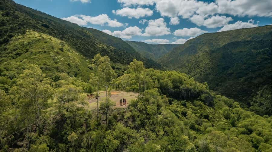 Mauritius: Black River Gorges National Park 3-Hour Hike - Three hours on forest trails