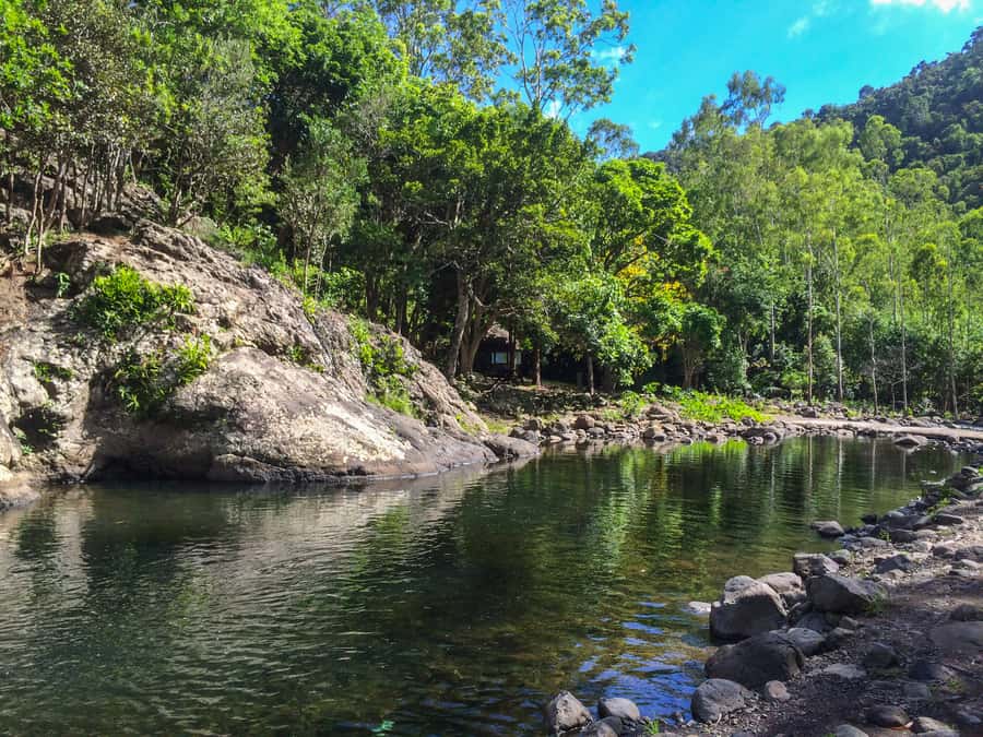 Mauritius: Black River Gorges National Park 3-Hour Hike - Who should book this walk?