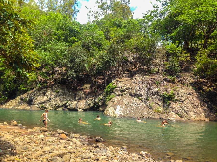 Mauritius: Black River Gorges National Park 3-Hour Hike - Practical preparation for the trail