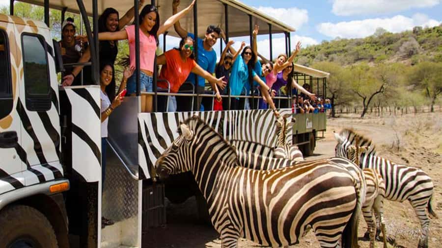 Mauritius: Casela Nature Parks Entrance Ticket with Transfer - Exotic birds in the aviary