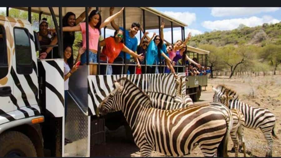 Mauritius: Casela nature parks & flic en flac beach - Key Points Before You Book