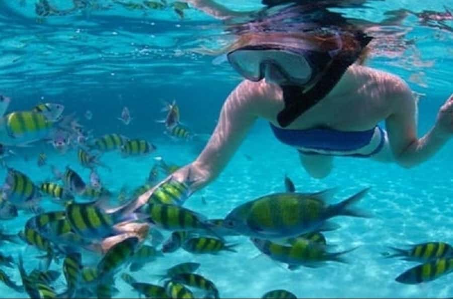 Mauritius: Catamaran cruise to 3 Northern Isles with lunch - Setting out from Grand Bay