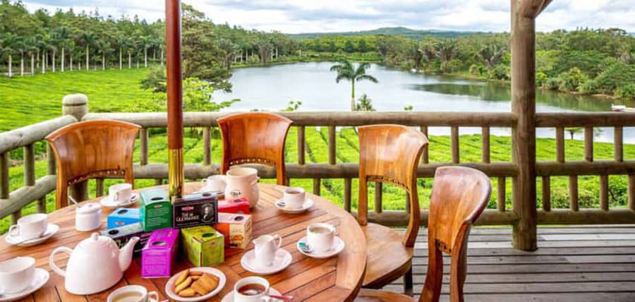 Mauritius: Crocodile Park and Tea Factory Tour with Tasting - Why this two-stop tour works