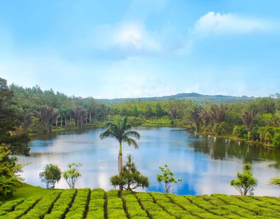 Mauritius: Customizable Private Tour by Car - Key points at a glance