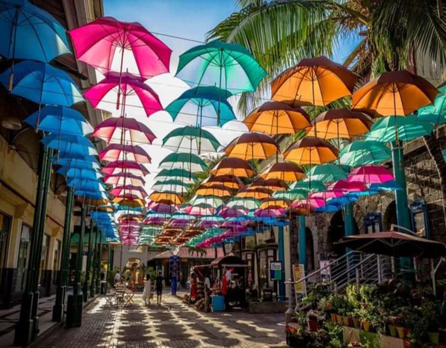 Mauritius: Customizable Private Tour by Car - Starting at your hotel and setting the route