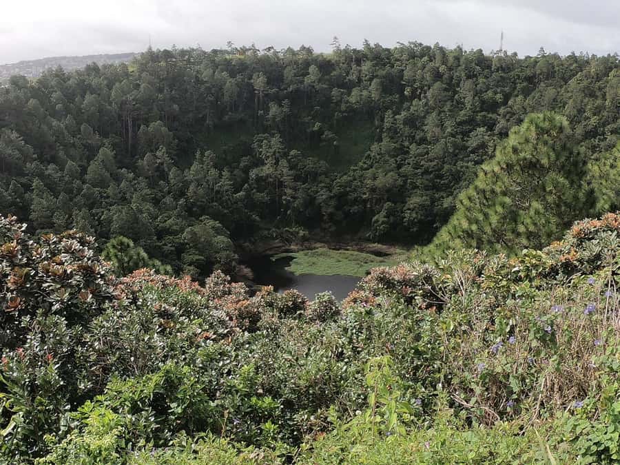 Mauritius: Dolphin Encounter, Trou aux Cerf and Grand Bassin - Meeting Mauritius dolphins off Black River