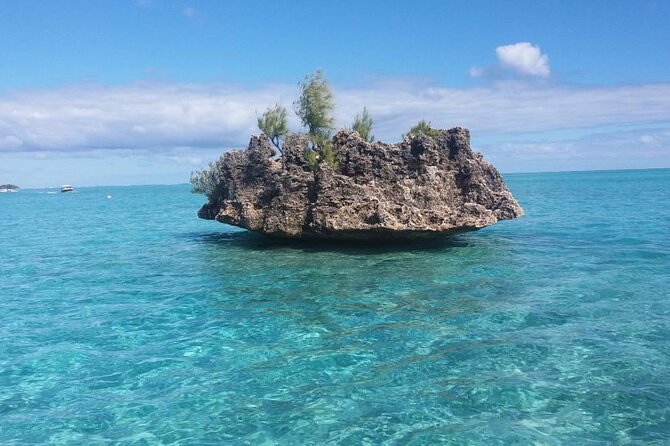Mauritius : Dolphins Swim and Ile Aux Bénitiers with BBQ - Starting early at Tamarin Public Beach