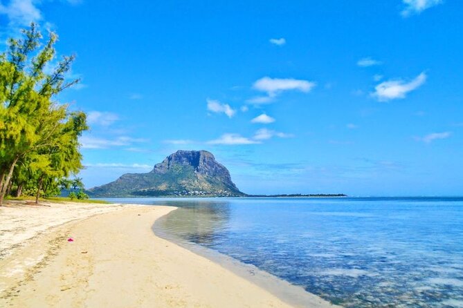 Mauritius : Dolphins Swim and Ile Aux Bénitiers with BBQ - Boat size, group numbers, and the feel of the day