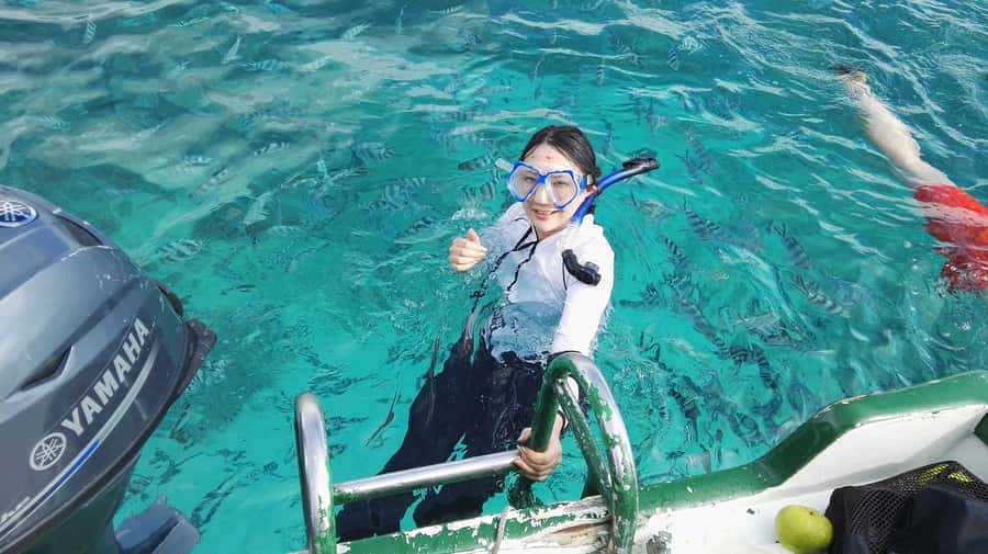 Mauritius: Dolphins watch half-day - Key points before you book