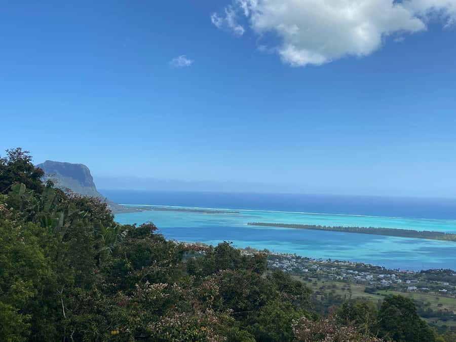 Mauritius: Dolphins watch half-day - An early start from your Mauritius hotel