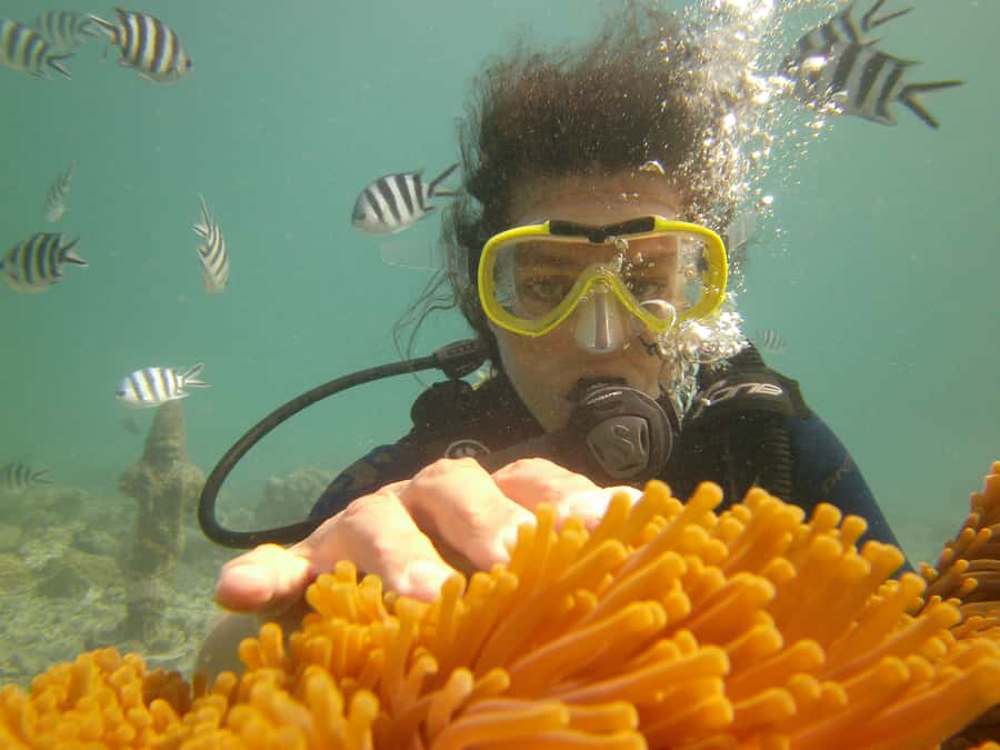 Mauritius: East Belle Mare Scuba Diving Tour - Starting gently with PADI instruction