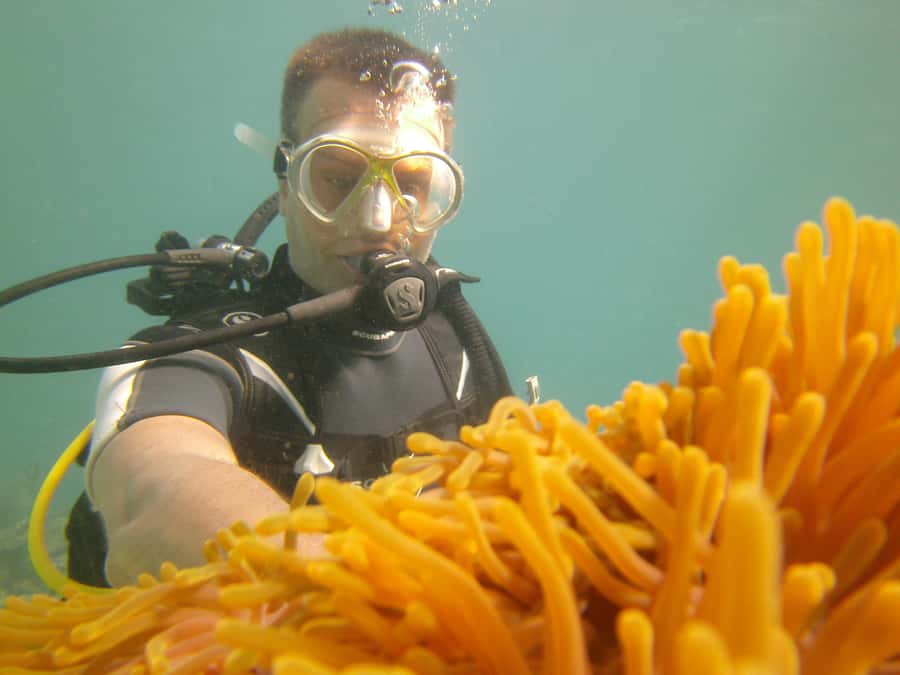 Mauritius: East Belle Mare Scuba Diving Tour - How much value do you get for $158?