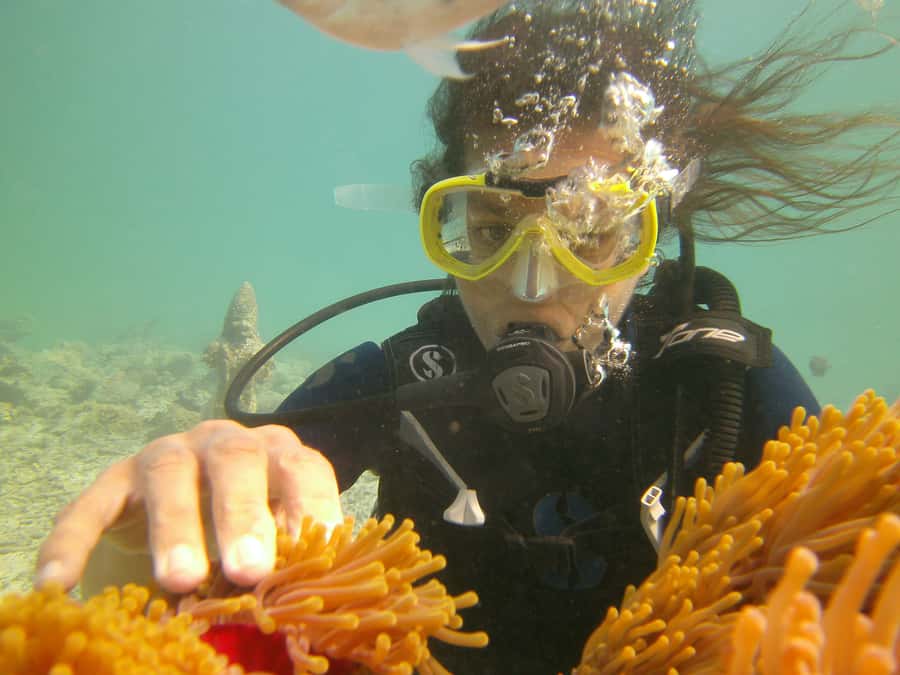 Mauritius: East Belle Mare Scuba Diving Tour - How long is the underwater session?
