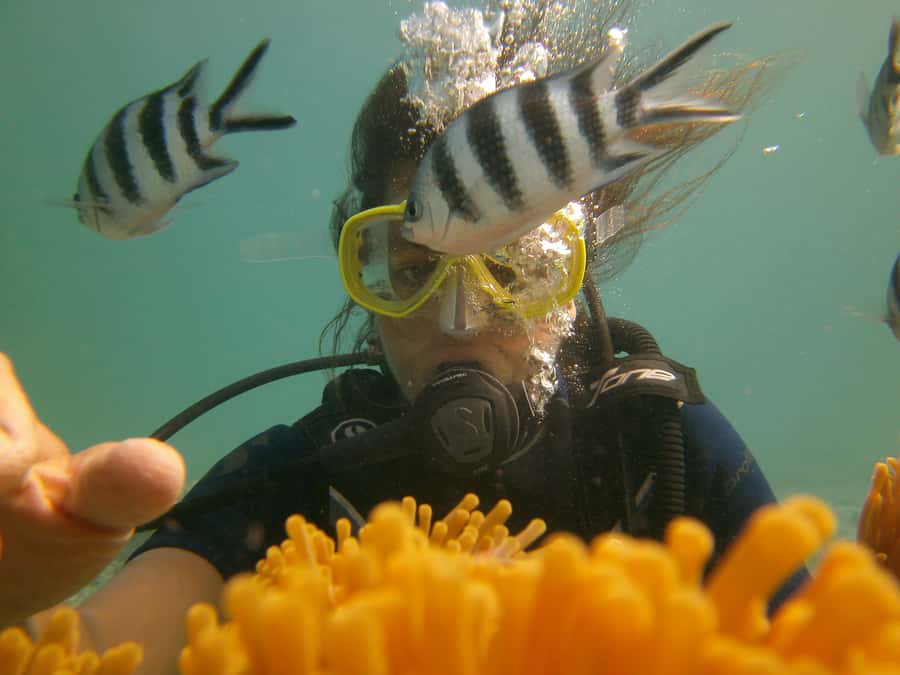 Mauritius: East Belle Mare Scuba Diving Tour - Who will enjoy this Belle Mare activity?