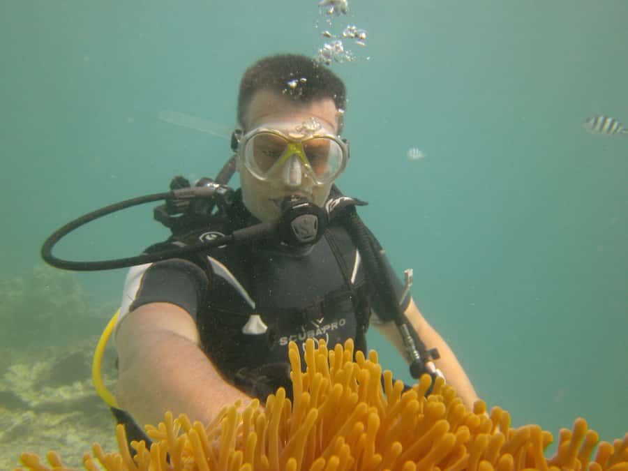 Mauritius: East Belle Mare Scuba Diving Tour - A practical way to prepare