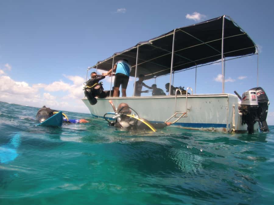 Mauritius: East Belle Mare Scuba Diving Tour - Should you book this scuba experience?