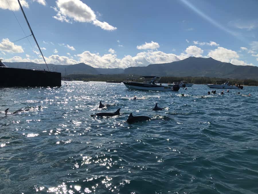 Mauritius Eco Whales Quest, 3-4 hours Expedition - Humpback Whales and the Luck Factor