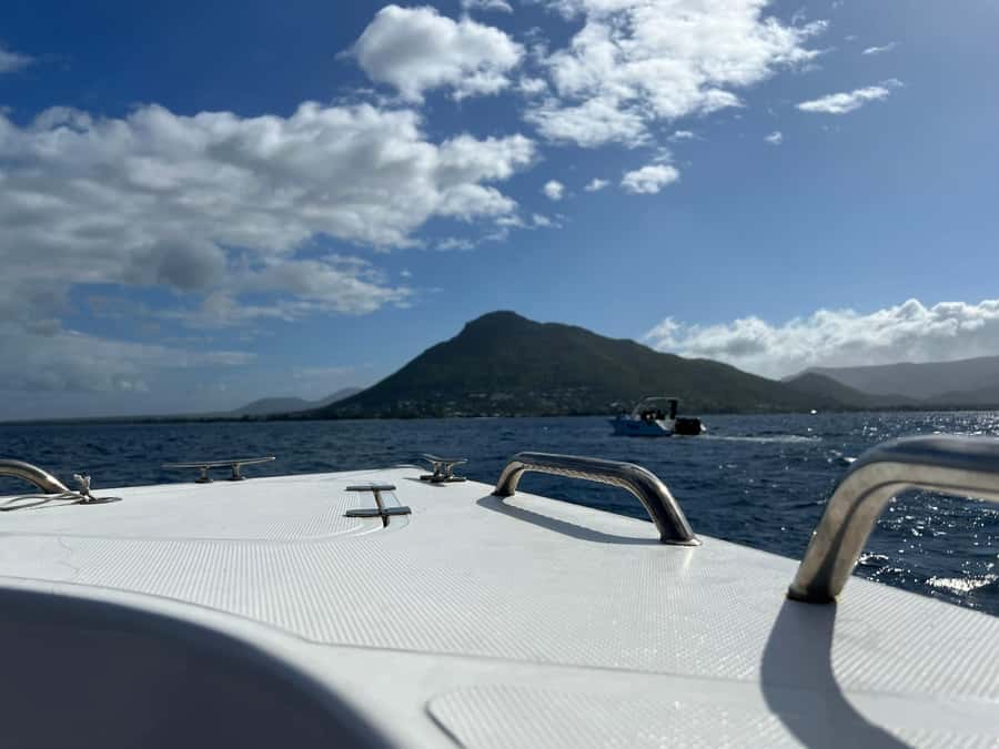 Mauritius Eco Whales Quest, 3-4 hours Expedition - What the Boat Day Is Like