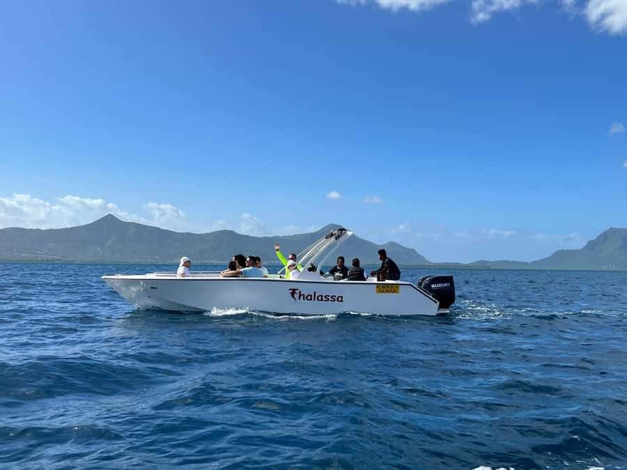 Mauritius Eco Whales Quest, 3-4 hours Expedition - Why Small Groups Matter Here