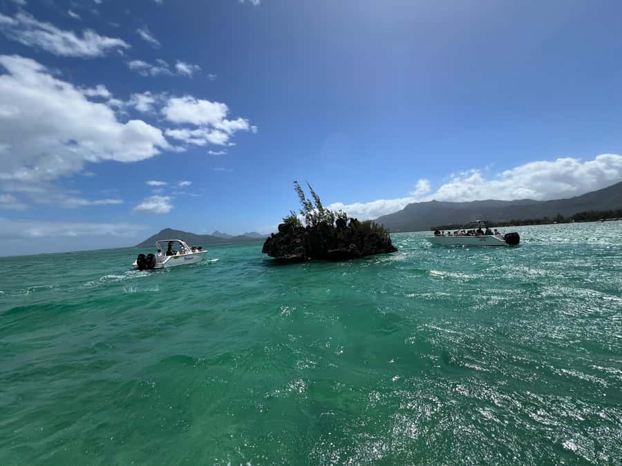 Mauritius Eco Whales Quest, 3-4 hours Expedition - The Guides Make or Break the Value